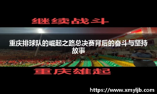 b体育·(sports)官方网站