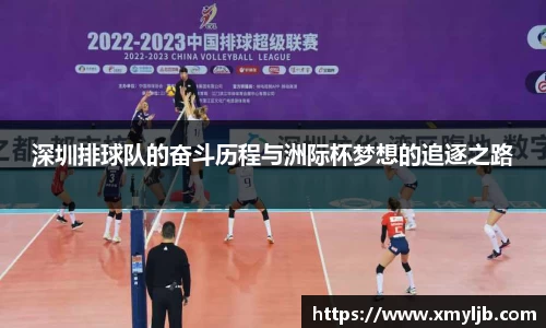 深圳排球队的奋斗历程与洲际杯梦想的追逐之路